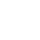 cerebro_branco